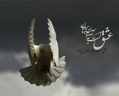 امدادرساني امدادرساني