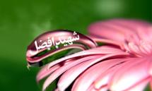 توفیق عبادت توفیق عبادت