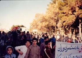 شهيد سیده منور علوی 