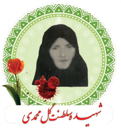 سلطنت گلمحمدی