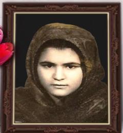 شهین