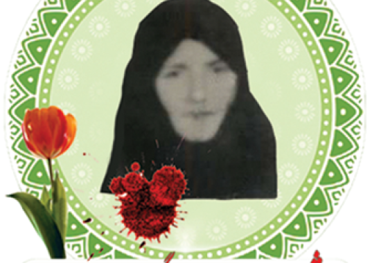  سلطنت گلمحمدی