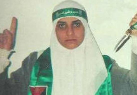 ابو