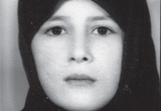 امیرشاکری