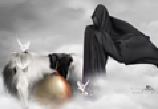 فرجام هشت