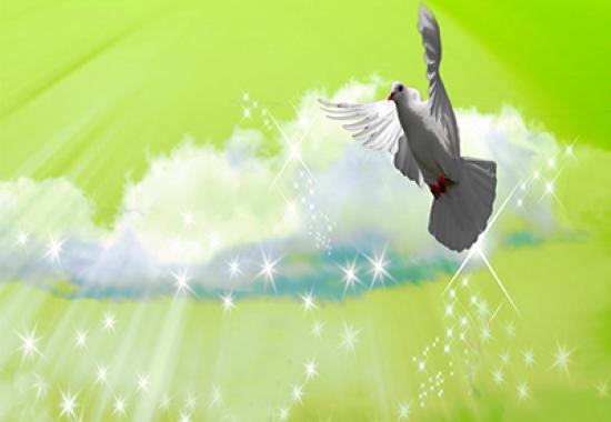اجلاسیه زنان کنگره ملی شهدای گیلان 