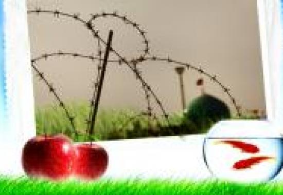 خاطرات یک بانوی رزمنده از تحویل سال